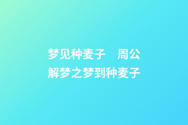 梦见种麦子　周公解梦之梦到种麦子
